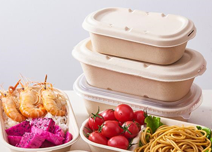 纸浆模塑成型设备麦秸秆环保餐具生产 纸浆湿压